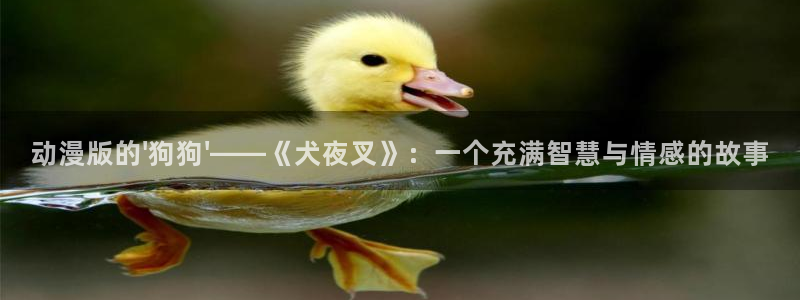 动漫fun：动漫版的\'狗狗\'——《犬夜叉》：一个充满智慧与情感的故事